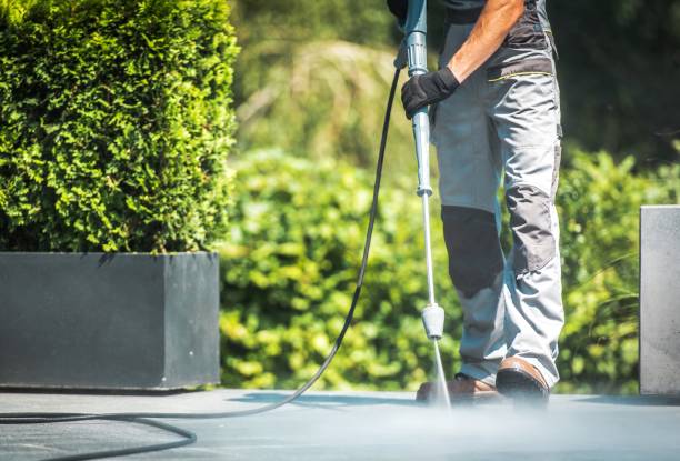 Best Dumpster Area Cleaning  in Arcadia, IN