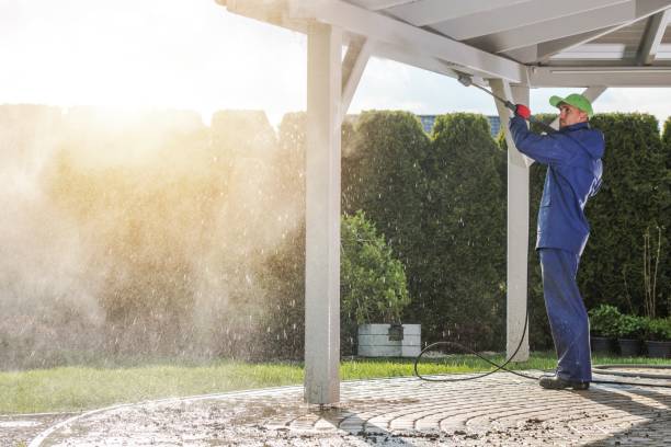 Best Building Exterior Washing  in Arcadia, IN